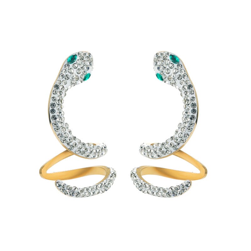 Trendy Titanium Steel Earrings Female Hollow Fashion Snake-Shaped eprolo 